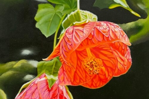 Een rode bloem