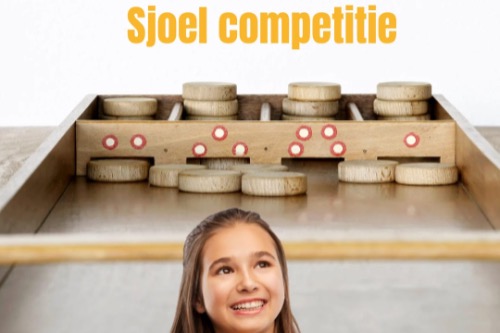 Sjoelcompetitie 't Wolderhuus