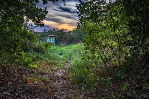 Uitbreiding vlinderommetje