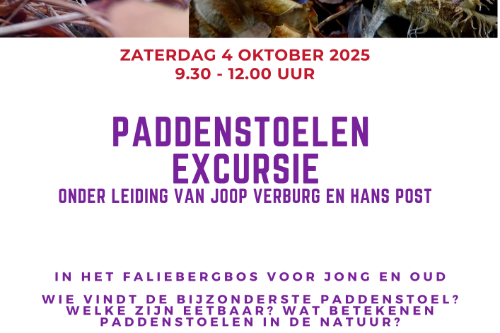 Paddenstoelenexcursie