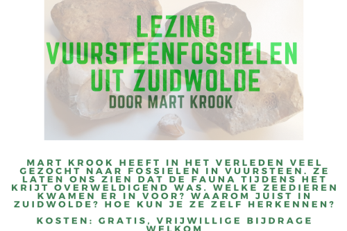 lezing vuursteenfossielen uit Zuidwolde