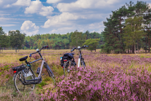 Foto fietsen 