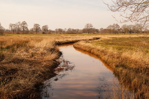de Reest Grens tussen Drenthe en Overijssel